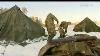 Arctic Training For Army Air Corps Forces Tv