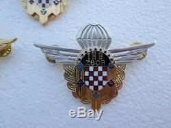 CROATIA ARMY, HV, Metal Badge Air Force, Parachute, Navigator, Pilot 1HG Zbor