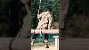 U S Army Air Defenders Face Off In Fire Competition Obstacles U0026 Cbrn Challenge In Germany
