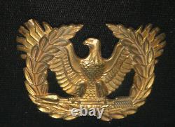 Vtg Wwii Aaf, Us Army Air Force Gunner & Navigator Wings, Badges & Pins! Framed