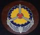 Seconde Guerre Mondiale Us Aaf Army Air Forces Commande De Service Aérien 5 Pouces Patch En Cuir A2 Uniforme